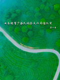 云南特有少数民族茶文化影像纪实系列